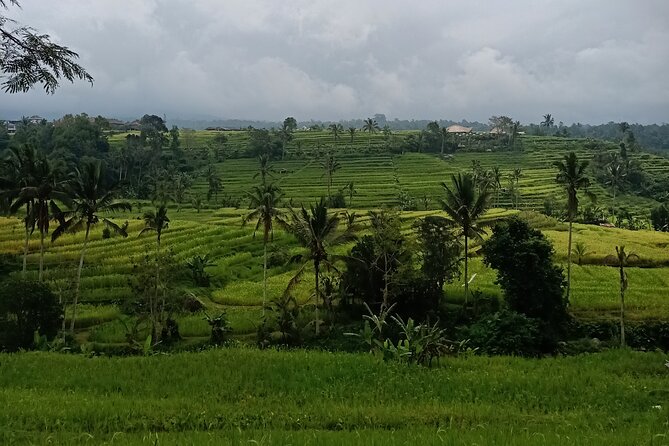 Bali Tanah Lot, Ulun Danu Beratan & Jatiluwih Rice Terrace - Jatiluwih Rice Terrace: UNESCO-level views plus the irrigation story