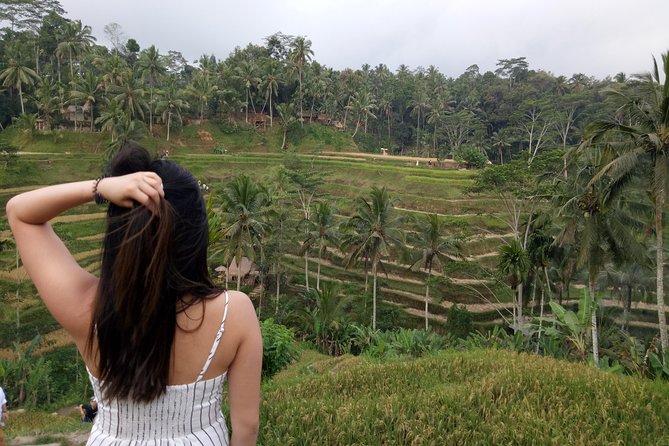 Bali Tour: Cepung Waterfall, Penglipuran Village, & Mt Batur View - How This Bali Day Stacks Up (Waterfall to Rice Terrace)