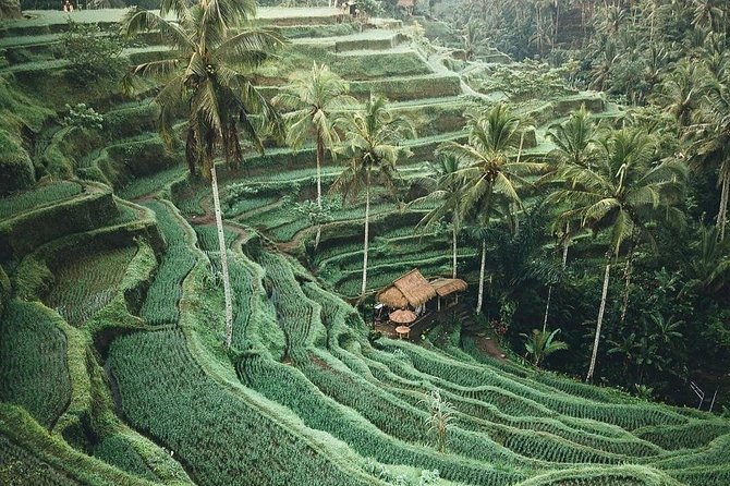 Bali Tour Customized With Local Guide - Uluwatu sunset tour: Padang-Padang beaches, Uluwatu Temple, Kecak & fire dance, and Jimbaran seafood