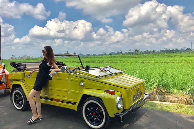 Bali Tour Driver - Who should book this Bali driver tour (and who should skip it)