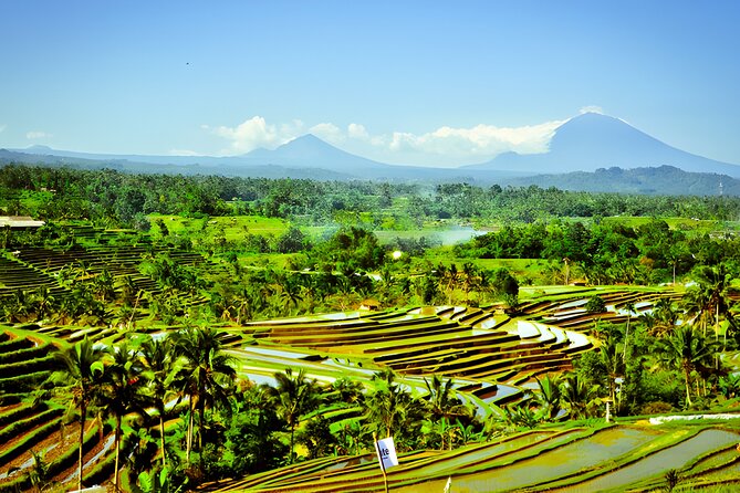 Bali Tour: The Best Way to Explore The Highlight of Bali - Stop 5: Penatahan Hot Springs Kaja for a real reset (and a meal break)