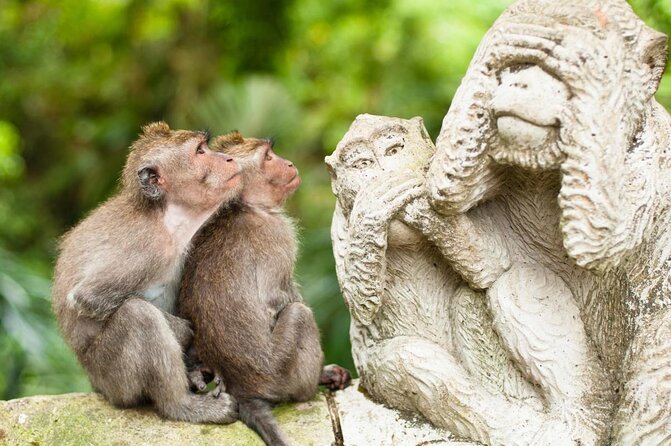 Bali Ubud and Volcano Day Tours - Quick hits I’d plan around