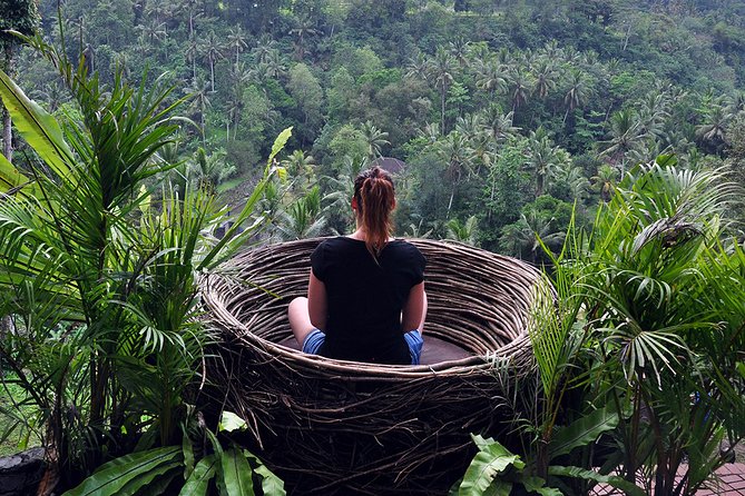 Bali Ubud and Volcano Day Tours - Satria Agrowisata coffee plantation: a short stop with useful tastings