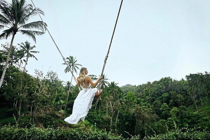 Bali: Ubud Highlights Tour with Private Guide and Transfers - Private Guide + Hotel Transfers: Ubud Without the Headache