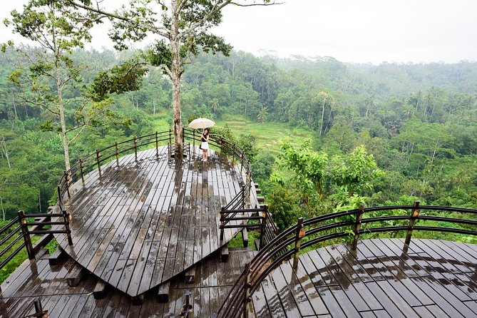 Bali Ubud & Kintamani Volcano Tour -All Inclusive - Who should book this Ubud + Kintamani Volcano Tour?