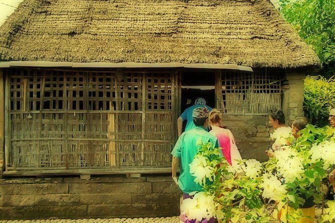 Bali Ubud & Kintamani Volcano Tour -All Inclusive - Tegallalang rice terraces (and why the tour schedules two visits)