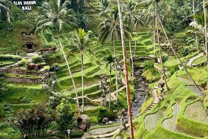 Bali Ubud Private Costomized Tour - Explore Bali your way - Sacred Monkey Forest and Gunung Kawi Sebatu: Two Ways to Slow Down