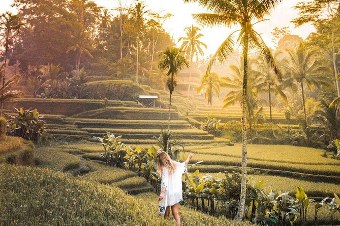 Bali Ubud private Tour with Ubud Bali Driver - FREE WIFI - A Ubud day that actually feels personal (not stock-standard)