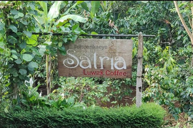 Bali Ubud private Tour with Ubud Bali Driver - FREE WIFI - Stop 5: Sahadewa Barong Dance & Fire Dance plus craft production stops