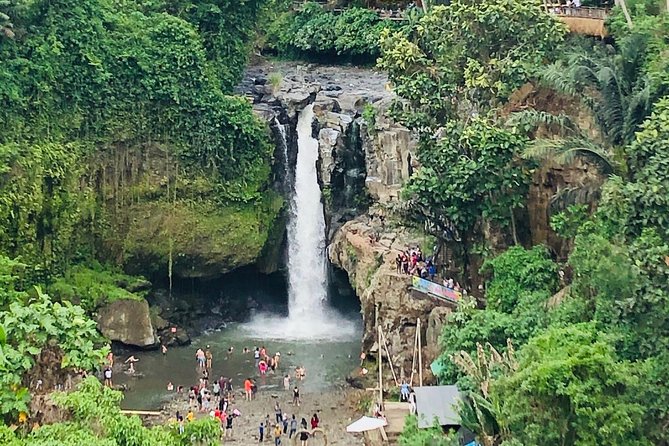 Bali Ubud Tour - Tegenungan Waterfall: swim time and the forest-view factor