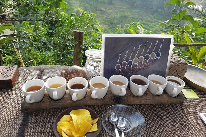 Bali Ubud Tour: Monkey Forest, Waterfall & Rice Terrace - Stop 6: Tegenungan Waterfall for valley views and nature time