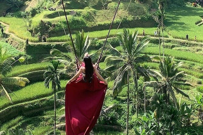 Bali Ubud Tour Monkey Forest, Waterfall, Temple & Rice Terrace - A full Ubud day that actually makes sense