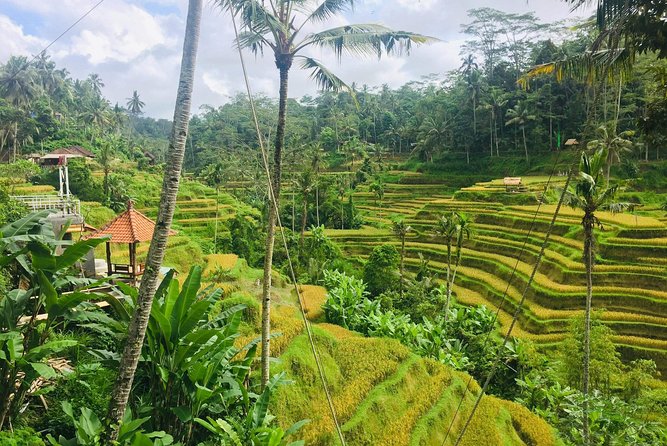 Bali Ubud Tour - Private comfort with hotel pickup and drop-off