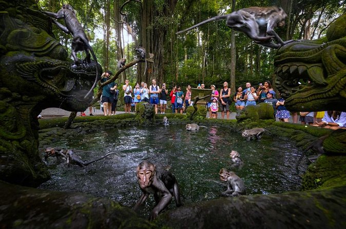 Bali Ubud Zipline, Monkey Forest and Waterfall Adventure - Sacred Monkey Forest Sanctuary: Enjoy the Macaques, Stay in Control