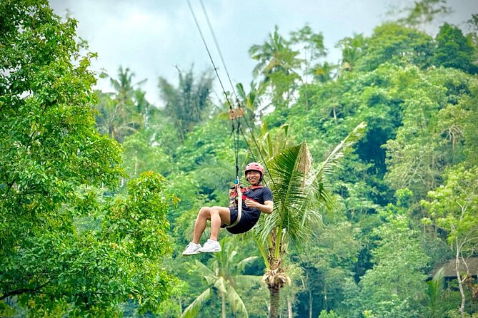 Bali Ubud Zipline, Monkey Forest and Waterfall Adventure - Should you book Bali Ubud Zipline, Monkey Forest and Waterfall Adventure?