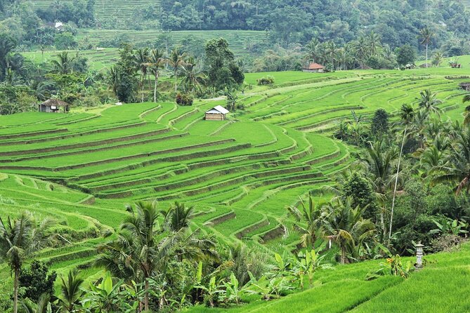 Bali UNESCO Sites: Water Temples and Jatiluwih Rice Terrace Tour - The optional add-ons: how to choose what fits your day
