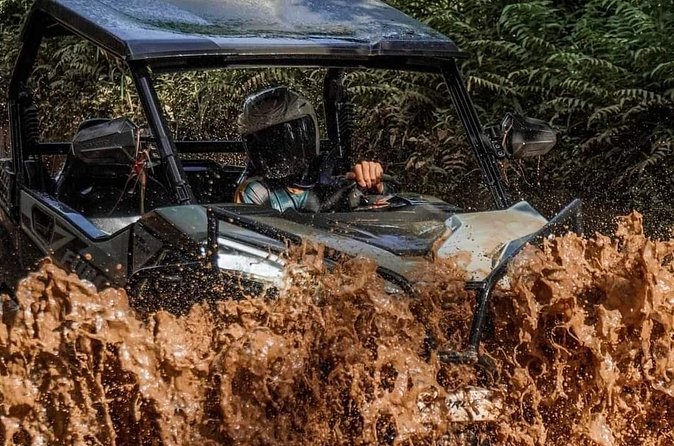 Bali UTV-BUGGY Wild Drive With Lunch at Cretya Sunset - Price and Value: Why $81 Includes More Than You Think