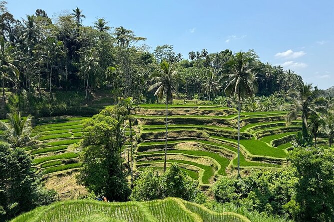 Bali Volcano & Ubud Day Tour – Temples, Rice Terraces & Lunch - Why This Bali Volcano and Ubud Day Tour Works