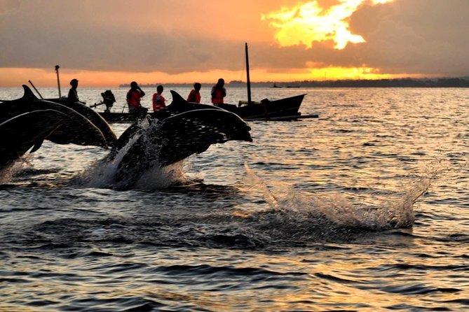 Bali Watching Dolphin at Lovina Beach & aling aling waterfall - Key things to know before you go