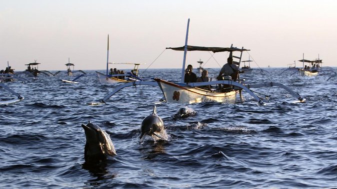 Bali Watching Dolphin at Lovina Beach & aling aling waterfall - Lovina Beach dolphin-watching: what the boat time is really like