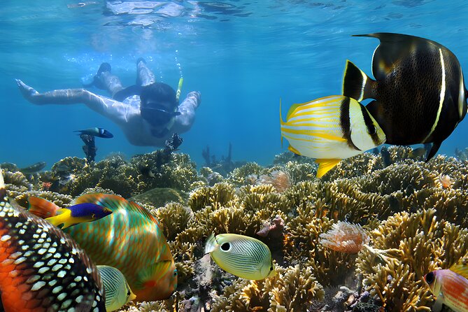 Bali Water Sport Jumbo Packages - Safety gear and instructor help: what you get for the money