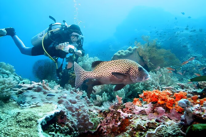 Bali Water Sport Jumbo Packages - Parasailing and Jet Ski: the adrenaline picks with real training support