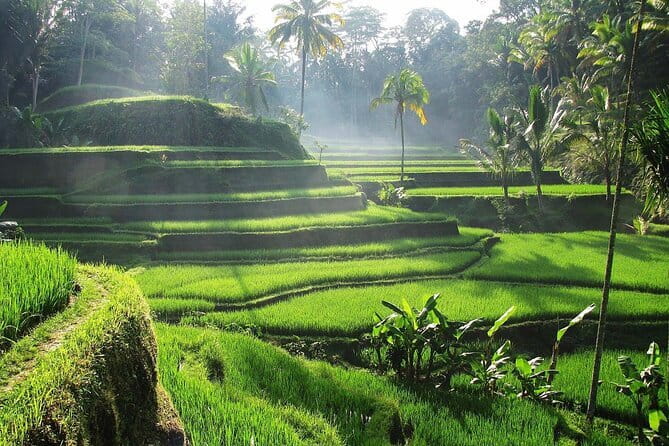 Bali Waterfall in One Day Tours, Hidden Waterfall - All Inclusive - Stop 2: Krisik Waterfall for a quieter walk to the river