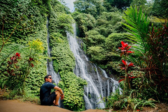 Bali Waterfall Tour – Hidden Spot All Inclusive Private Day Trip - Stop 2: Banyumala Twin Waterfalls and the hydrangea garden hike