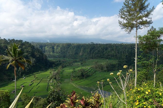 Bali Waterfalls and Temples Tour - Goa Raja Waterfall: Steps Down, Rainforest Cool Air, Pool-Style Views