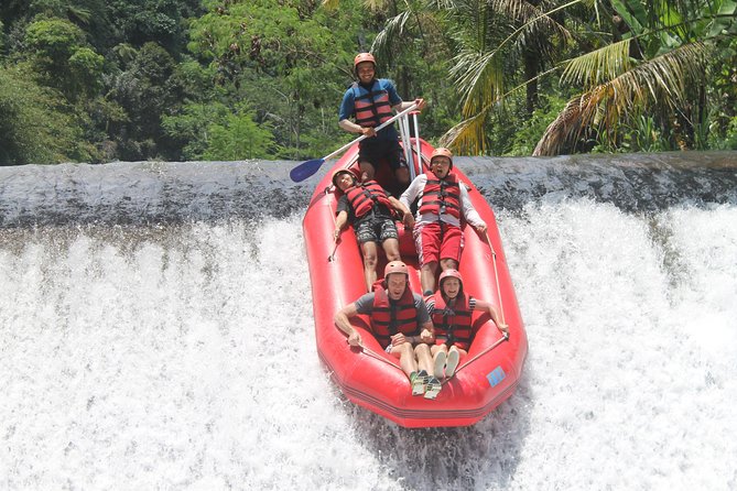 Bali White Water Rafting at Telaga Waja River - Who This Telaga Waja Trip Fits Best