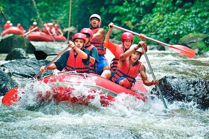 Bali White Water Rafting on Ayung River with Lunch - Gear, safety briefing, and the calm that comes from being ready