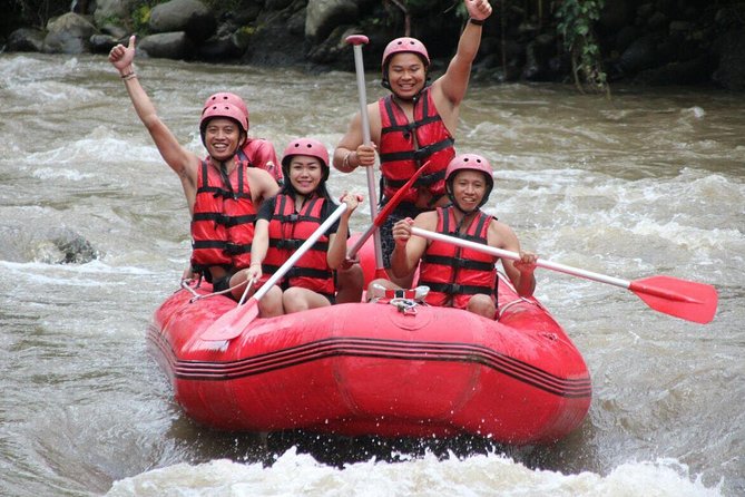 Bali White Water Rafting with No Steep Access - Ayung River basics: what the 2-hour rafting run is really like