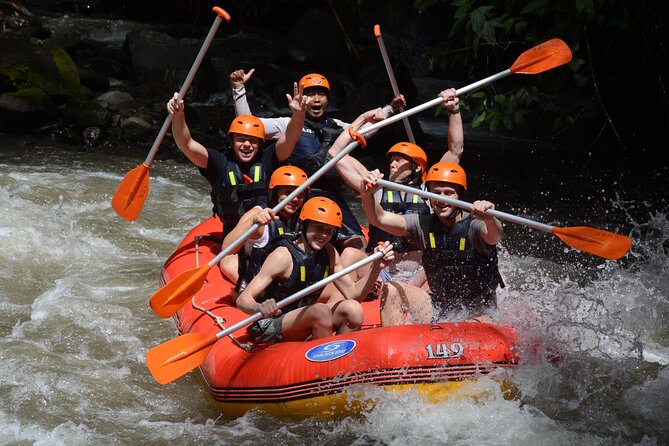 Bali White Water Rafting with No Steep Access - Who this rafting trip suits best