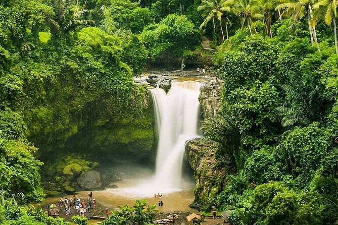 Balinase Cooking Class and Private Ubud Day Tour - Lesung Bali Cooking Class: your easiest win in the itinerary
