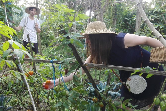 Balinese Cooking Class at Organic Farm - The Cooking Section: Six Balinese Dishes and Traditional Heat