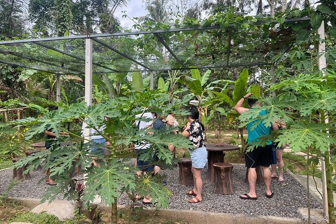 Balinese Cooking Class with Traditional Market Tour - Who Should Book This Balinese Cooking Class (and Who Might Skip It)
