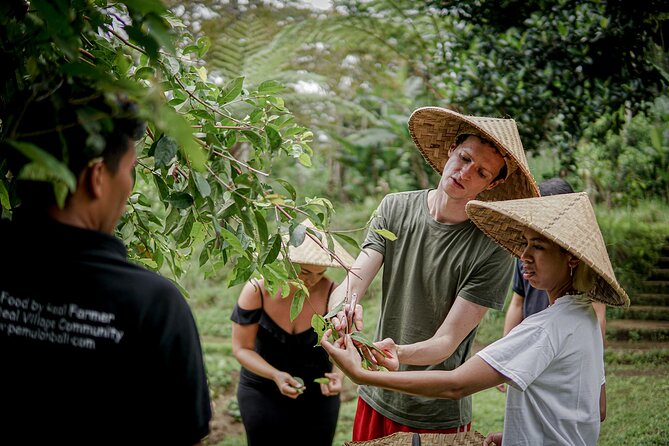 Balinese Farm Cooking Class by Pemulan Bali - Market-to-Farm Start in Central Ubud (and Why Morning Class Changes Everything)