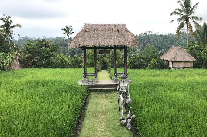Balinese Life Style Tour - Price and value: is $74 a fair deal?