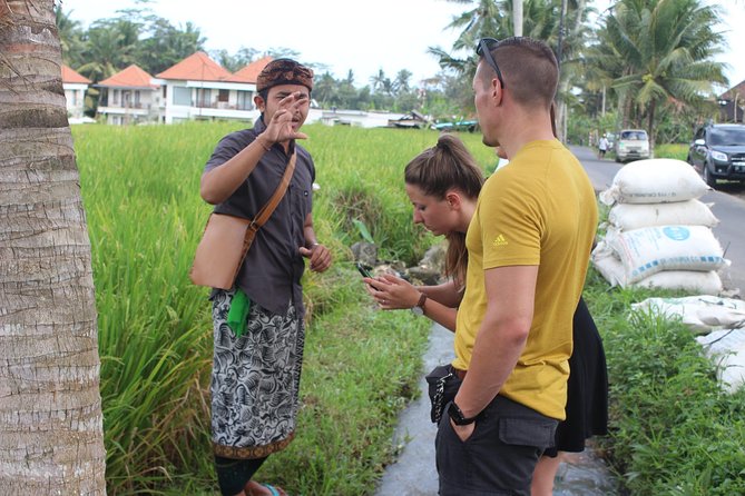 Balinese Ubud cooking school (9 Dish Cooking and Market Tour) - Price and logistics: is $58 actually good value?