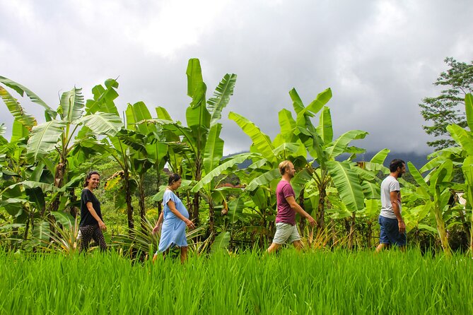 Balinese Vegan Cooking Class with Fresh Harvesting & Garden Tour - Harvesting Your Own Ingredients (and Learning What They’re For)