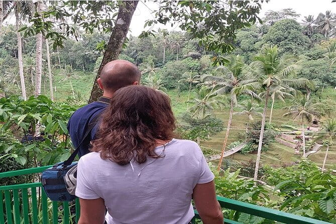 Banyumala Waterfall, Jatiluwih, Ulun Danu and Tanah Lot tours - Wanagiri-area lakes: twin views over Buyan and Tanblingan