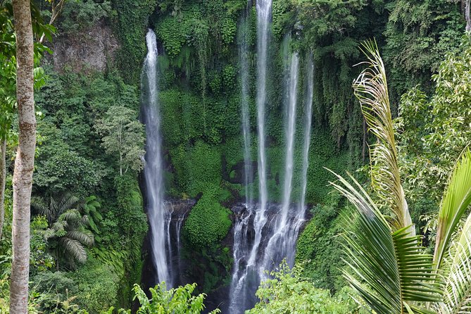 Banyuwana & Banyumala Waterfalls Tour Private - All-Inclusive - Banyumala Twin Waterfalls: the forest descent that feels like a mini adventure