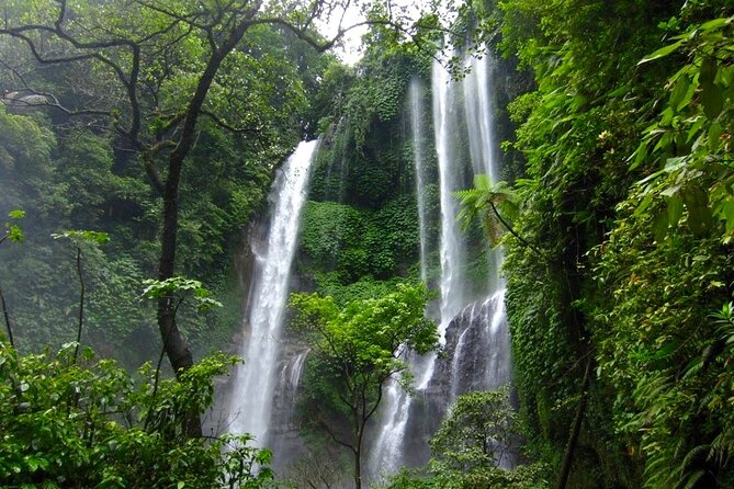 Banyuwana & Banyumala Waterfalls Tour Private - All-Inclusive - The Sekumpul (Sekumpi) waterfall hike: where the day becomes memorable