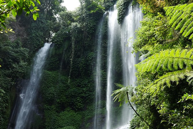Banyuwana & Banyumala Waterfalls Tour Private - All-Inclusive - How the day flows from Ubud toward north Bali