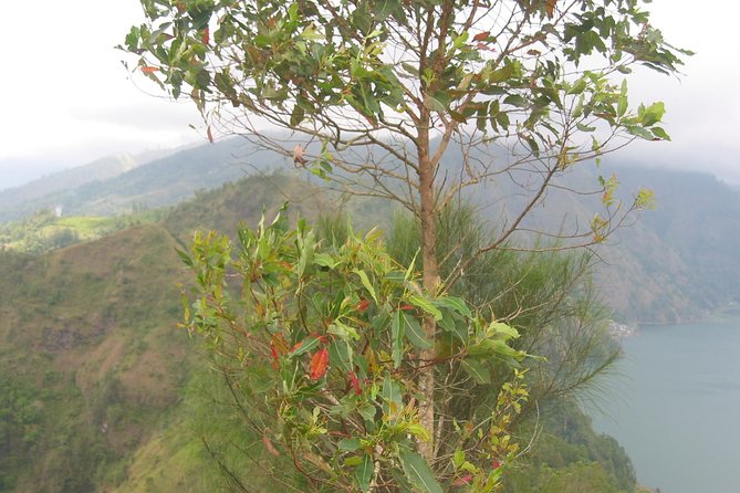 Batur Caldera Sunrise Trekking - Sunrise from the Mt. Batur caldera top (plus tea, coffee, and breakfast)