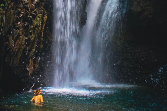 Bedugul and Singaraja Tour - From Kuta Up Into North Bali: The Real Point of This Tour