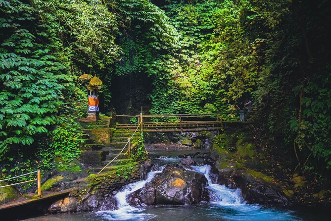 Bedugul and Singaraja Tour - Candi Kuning Market: Where North Bali’s Farming Shows Up
