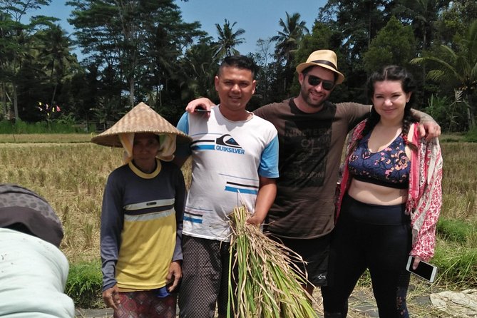 Benoa Cruise Port: Private Bali Day Tour with Local Guide - Tegalalang Rice Terrace: early timing and a landscape you’ll remember