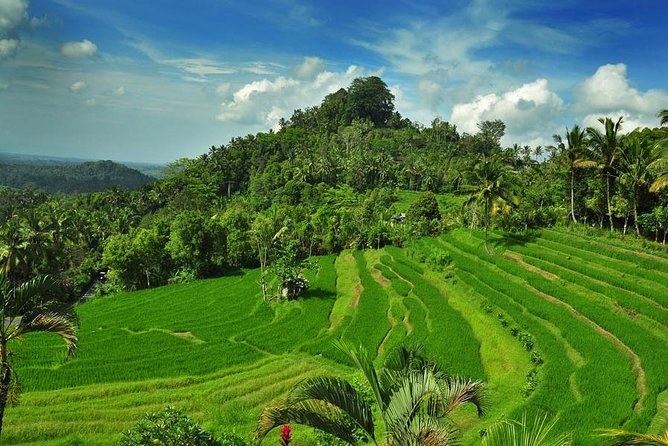 Besakih Temple Tour - Mother Temple in Bali - Lunch in between: Indonesian food that doesn’t derail the day
