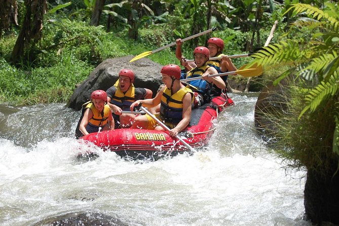Best Bali Ayung River Rafting with Lunch - Price and timing: is $32 really good value in Ubud?
